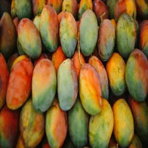 icon 🥭 Mango