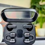 Premium Wireless Earbuds